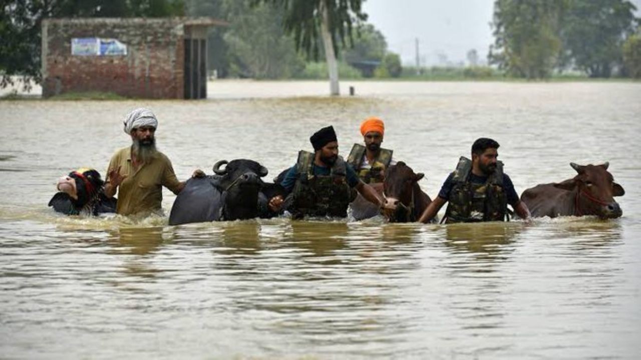 पंजाब में दशकों की सबसे भयानक बाढ़ आई है. सतलुज समेत नदियों के उफान और भारी...