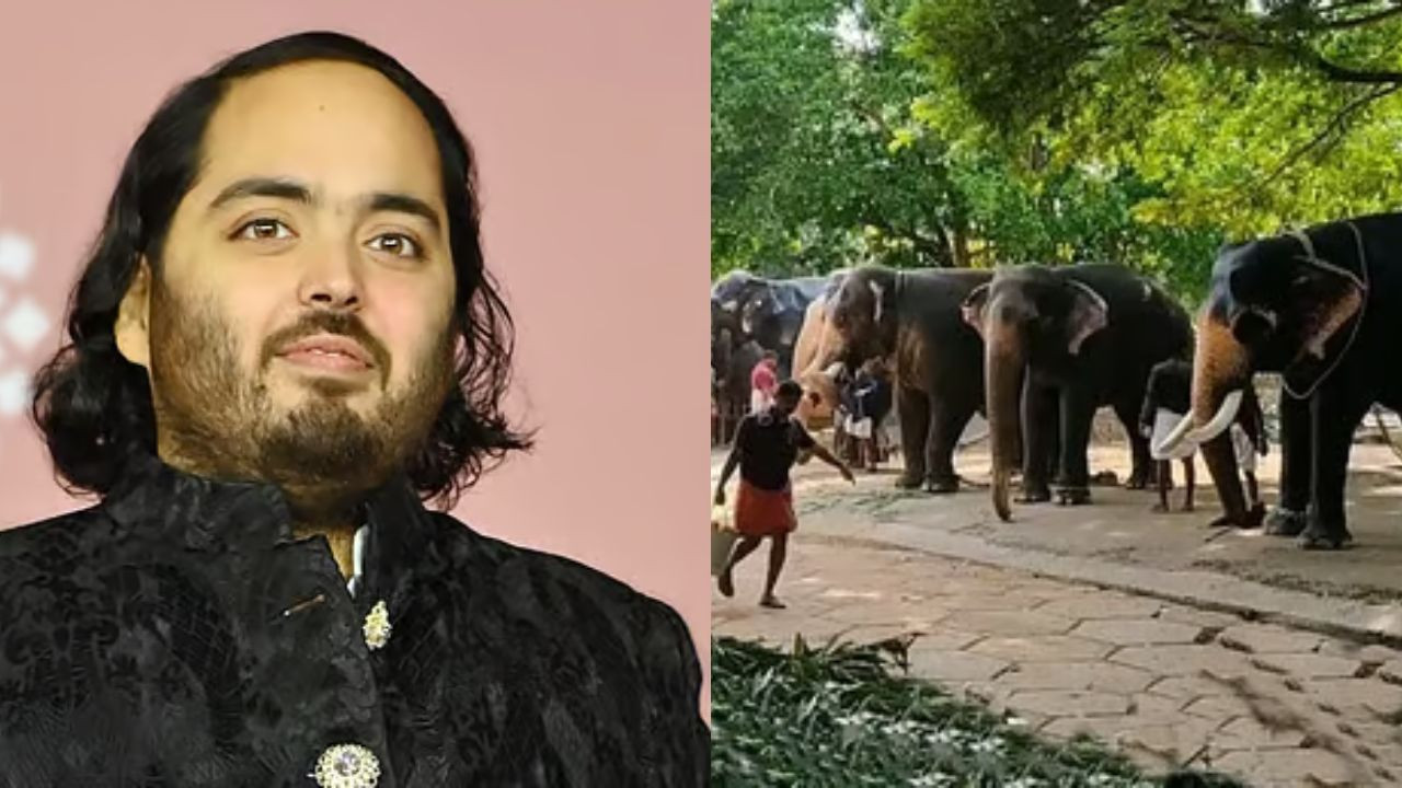 एसआईटी ने सोमवार को देश की टॉप अदालत को बताया गया गया कि गुजरात के जामनगर...