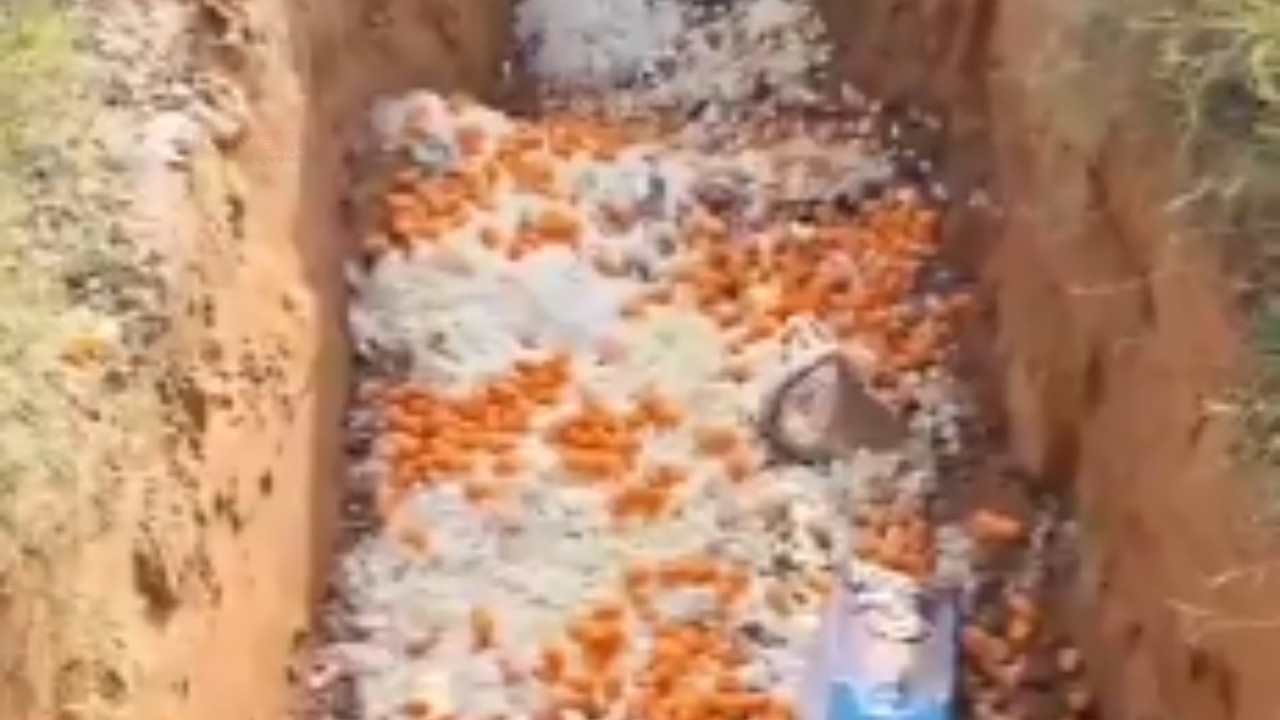 मुख्य खाद्य सुरक्षा अधिकारी संतोष कुमार श्रीवास्तव के नेतृत्व में खाद्य...