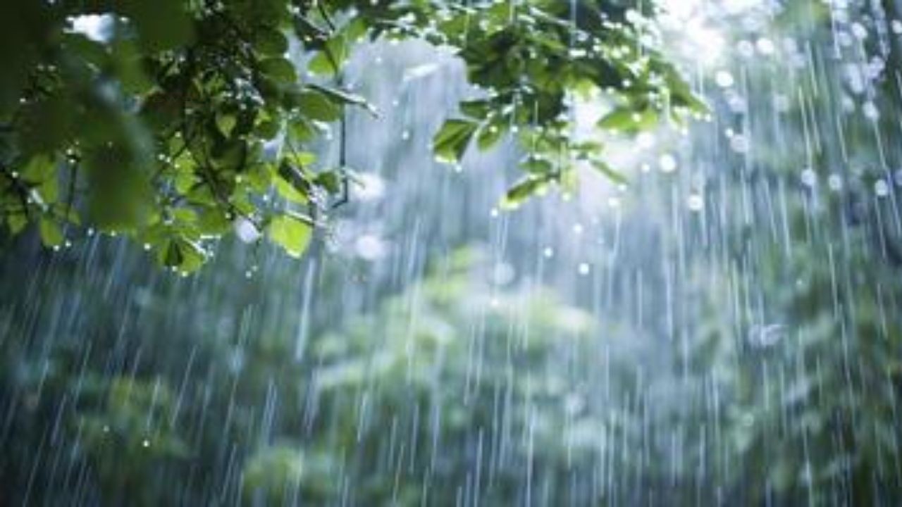 IMD Predicts Heavy Rain: भारतीय मौसम विभाग (IMD) ने अगले सात दिनों तक दक्षिण भारत में भारी...