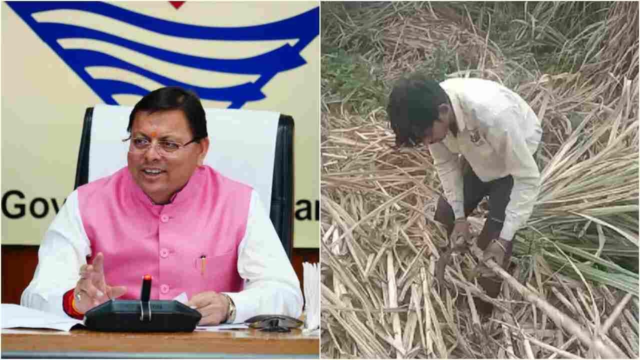 किसानों के लिए खुशखबरी, धामी सरकार ने जारी किया गन्ना मूल्य वृद्धि का शासनादेश