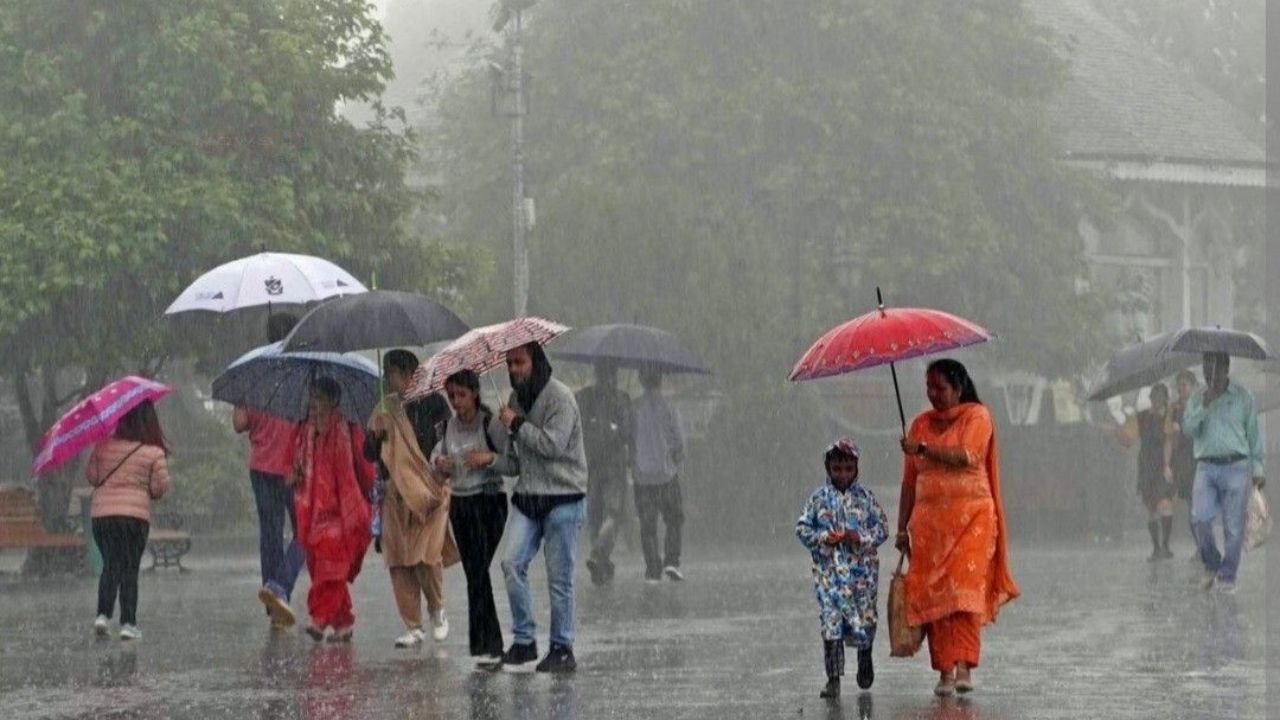 देशभर में मौसम का कहर, आंधी-बारिश से फसल प्रभावित; इन राज्यों में IMD का अलर्ट जारी | India Weather Change 5 april 2026 IMD Issues Warning Storm Rain Alert delhi ncr up bihar rajasthan...