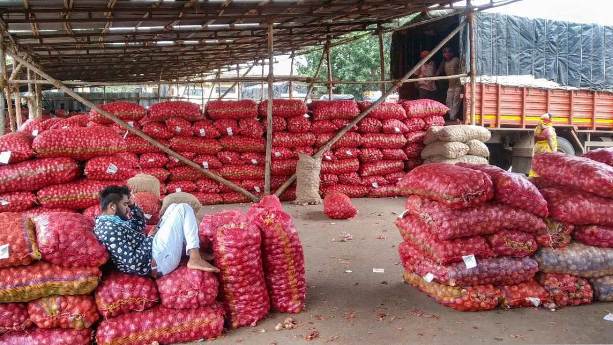 સરકારે ડુંગળીના ખરીદ ભાવમાં 24.4%નો...