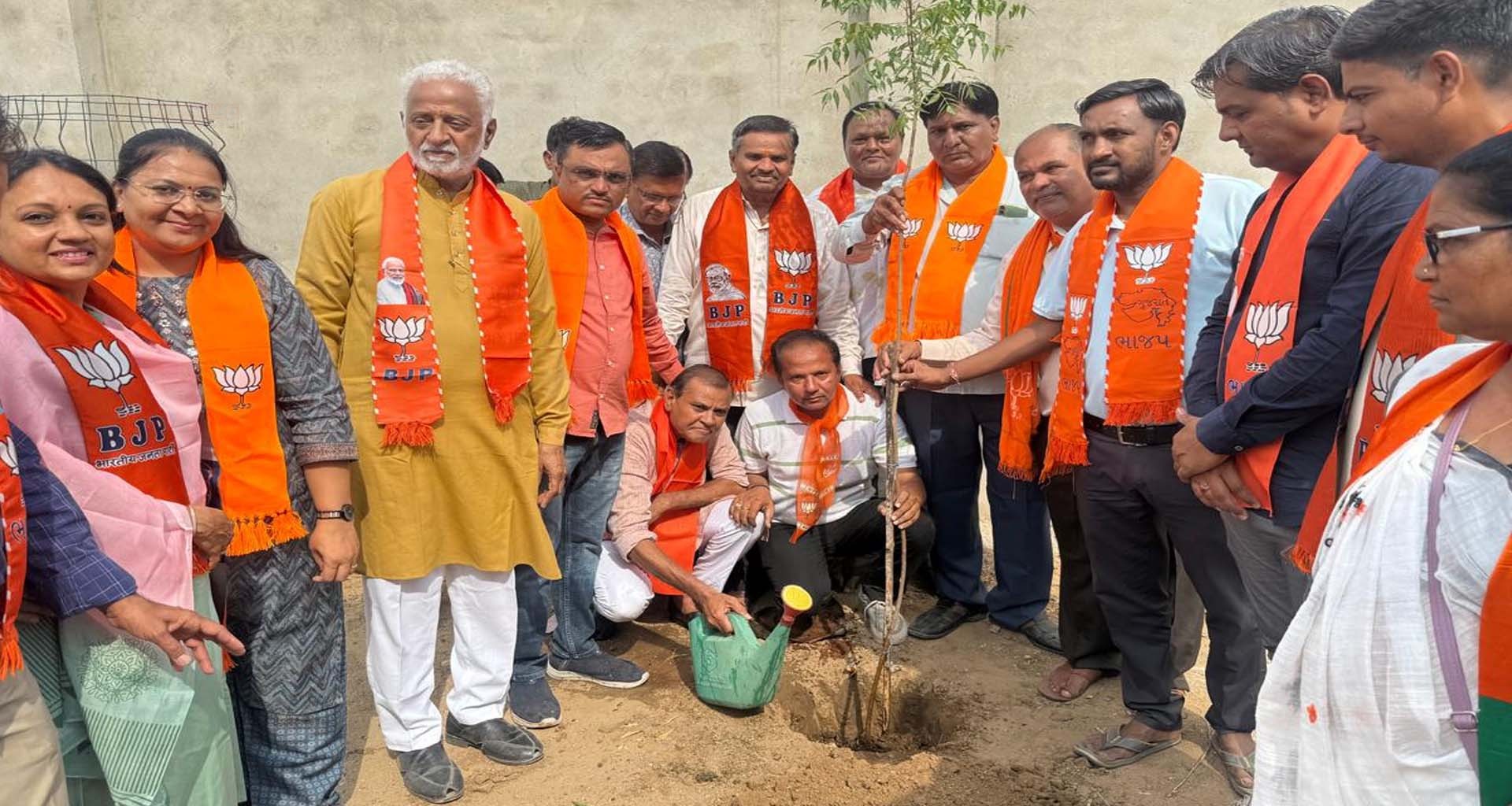 ઊંઝામાં વૃક્ષારોપણ થકી પર્યાવરણ દિવસની ઉજવણી...